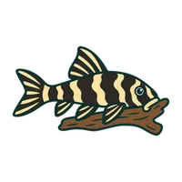 Illustration of a Clown Pleco