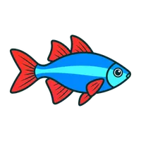 Illustration of a Dwarf Neon Rainbowfish