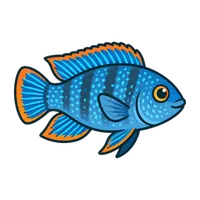 Illustration of a Electric Blue Acara