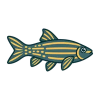 Illustration of a Giant Danio