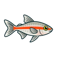 Illustration of a Glowlight Tetra