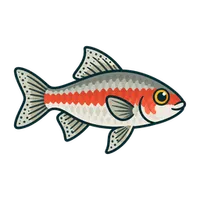 Illustration of a Odessa Barb