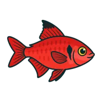 Illustration of a Serpae Tetra