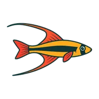 Illustration of a Threadfin Rainbowfish
