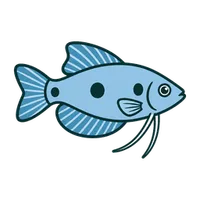 Illustration of a Three-spot Gourami